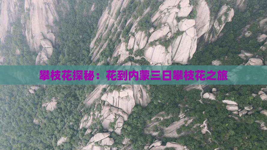 攀枝花探秘：花到内蒙三日攀枝花之旅