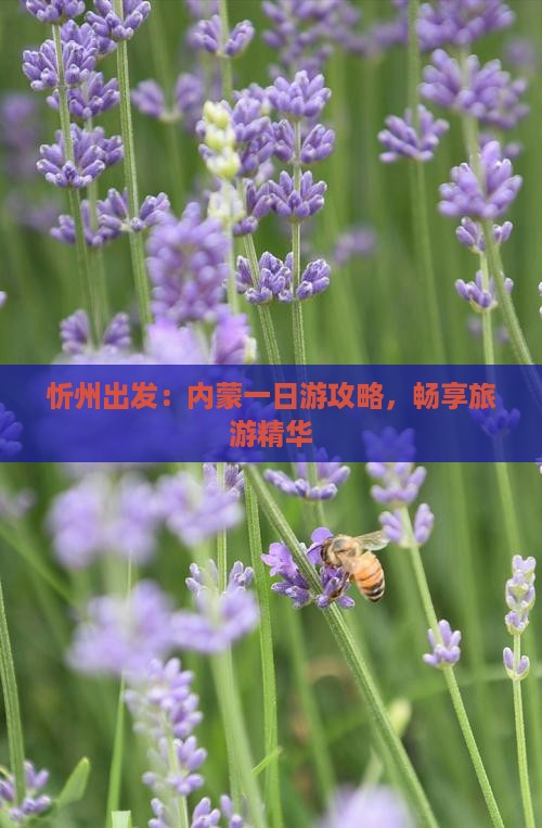 忻州出发：内蒙一日游攻略，畅享旅游精华