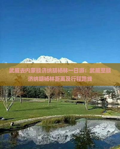 武威去内蒙额济纳胡杨林一日游：武威至额济纳胡杨林距离及行程路线