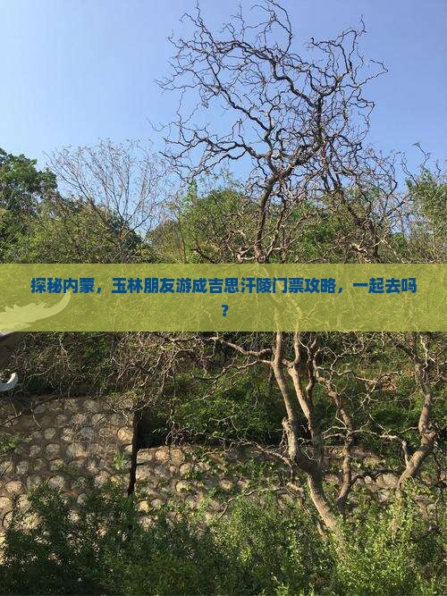 探秘内蒙，玉林朋友游成吉思汗陵门票攻略，一起去吗？