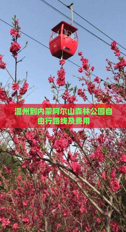 温州到内蒙阿尔山森林公园自由行路线及费用