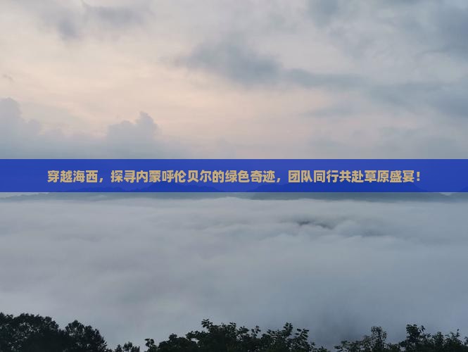 穿越海西，探寻内蒙呼伦贝尔的绿色奇迹，团队同行共赴草原盛宴！
