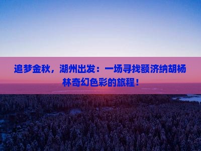 追梦金秋，湖州出发：一场寻找额济纳胡杨林奇幻色彩的旅程！