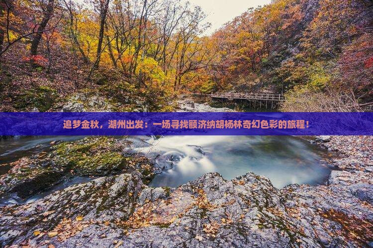 追梦金秋，湖州出发：一场寻找额济纳胡杨林奇幻色彩的旅程！