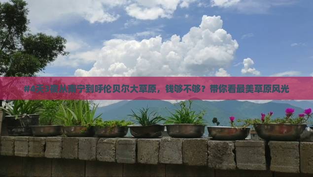 #4天3夜从南宁到呼伦贝尔大草原，钱够不够？带你看最美草原风光