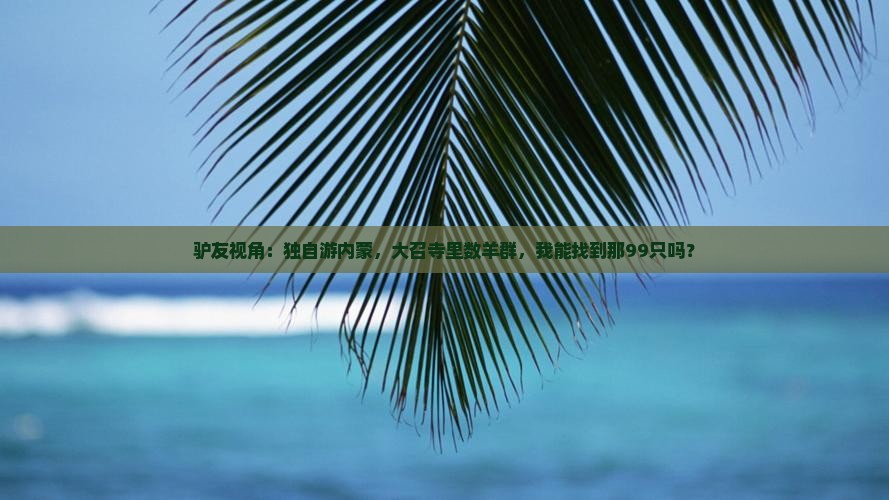 驴友视角：独自游内蒙，大召寺里数羊群，我能找到那99只吗？