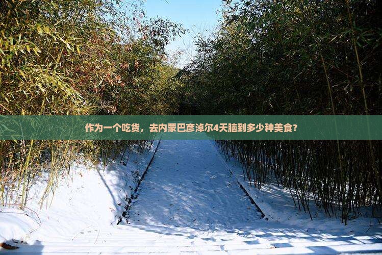 作为一个吃货，去内蒙巴彦淖尔4天脑到多少种美食？