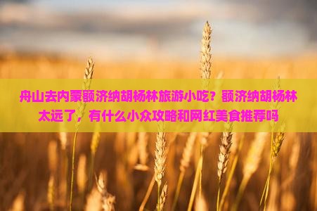 舟山去内蒙额济纳胡杨林旅游小吃？额济纳胡杨林太远了，有什么小众攻略和网红美食推荐吗