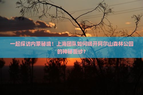 一起探访内蒙秘境！上海团队如何揭开阿尔山森林公园的神秘面纱？