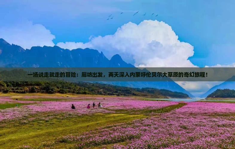 一场说走就走的冒险：廊坊出发，两天深入内蒙呼伦贝尔大草原的奇幻旅程！