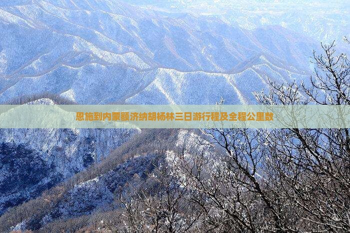 恩施到内蒙额济纳胡杨林三日游行程及全程公里数