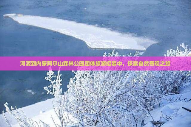 河源到内蒙阿尔山森林公园团体旅游招募中，探索自然奇观之旅