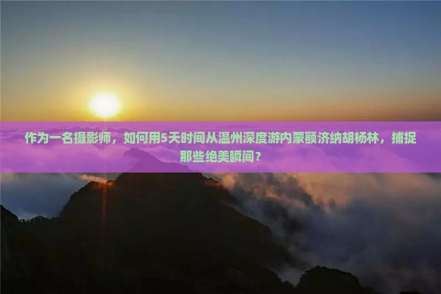 作为一名摄影师，如何用5天时间从温州深度游内蒙额济纳胡杨林，捕捉那些绝美瞬间？