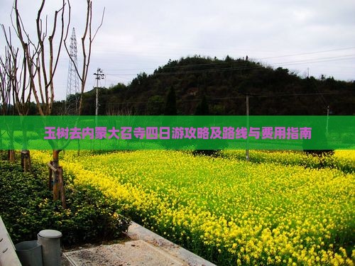 玉树去内蒙大召寺四日游攻略及路线与费用指南