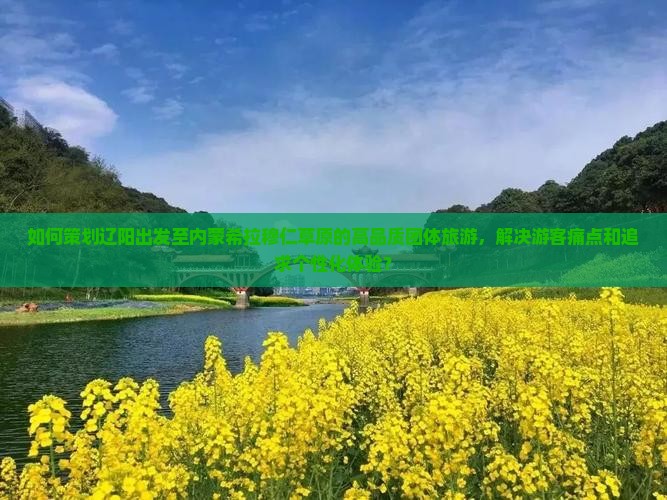 如何策划辽阳出发至内蒙希拉穆仁草原的高品质团体旅游，解决游客痛点和追求个性化体验？