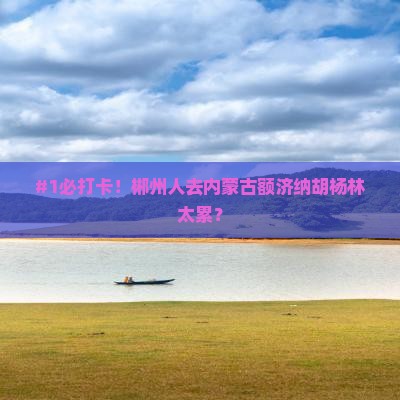 #1必打卡！郴州人去内蒙古额济纳胡杨林太累？