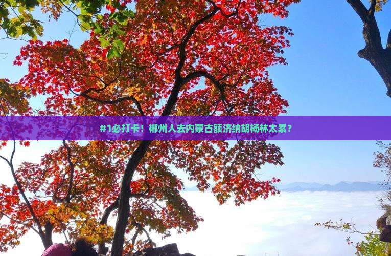 #1必打卡！郴州人去内蒙古额济纳胡杨林太累？