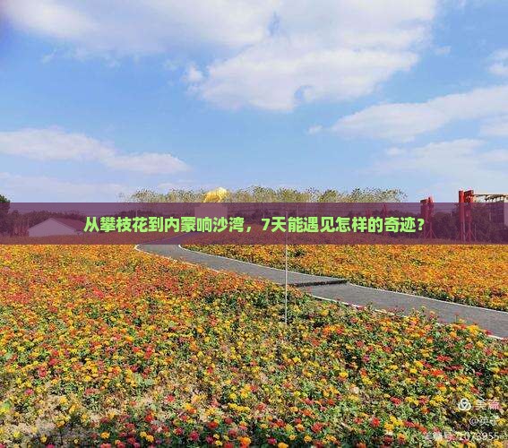 从攀枝花到内蒙响沙湾，7天能遇见怎样的奇迹？