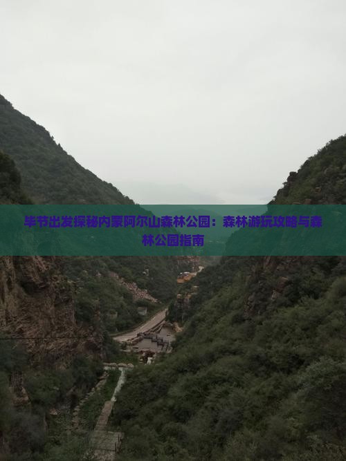 毕节出发探秘内蒙阿尔山森林公园：森林游玩攻略与森林公园指南