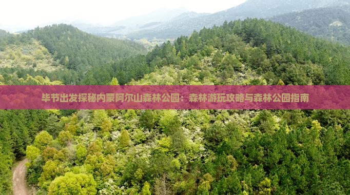 毕节出发探秘内蒙阿尔山森林公园：森林游玩攻略与森林公园指南
