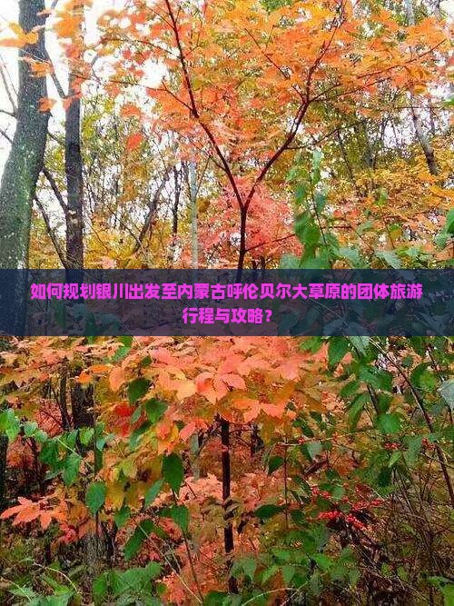 如何规划银川出发至内蒙古呼伦贝尔大草原的团体旅游行程与攻略？
