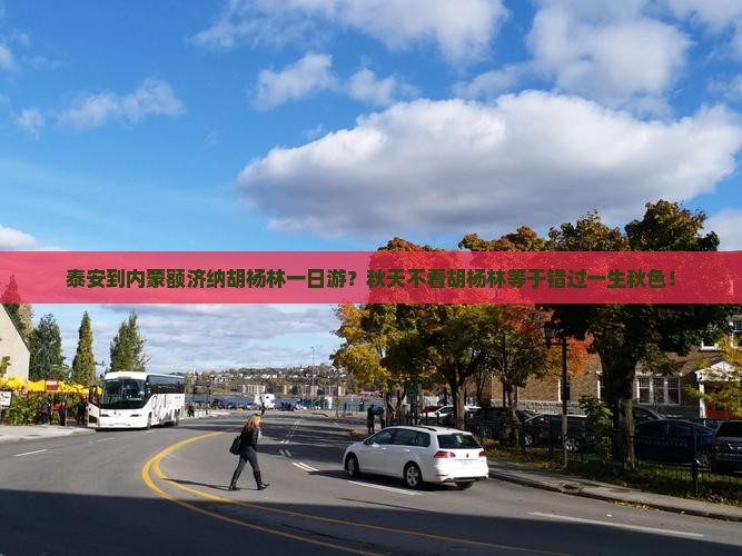 泰安到内蒙额济纳胡杨林一日游？秋天不看胡杨林等于错过一生秋色！