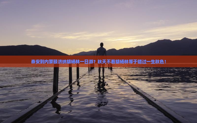 泰安到内蒙额济纳胡杨林一日游？秋天不看胡杨林等于错过一生秋色！