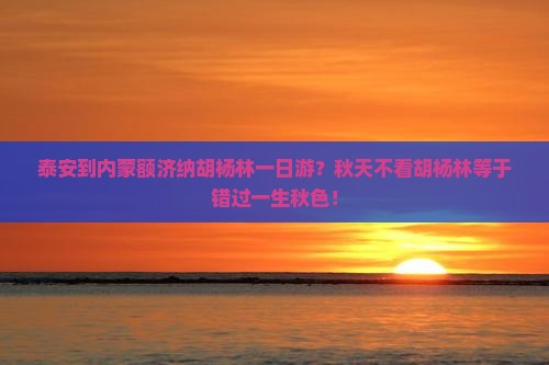泰安到内蒙额济纳胡杨林一日游？秋天不看胡杨林等于错过一生秋色！