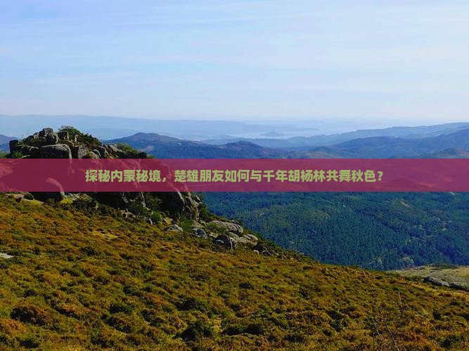 探秘内蒙秘境，楚雄朋友如何与千年胡杨林共舞秋色？