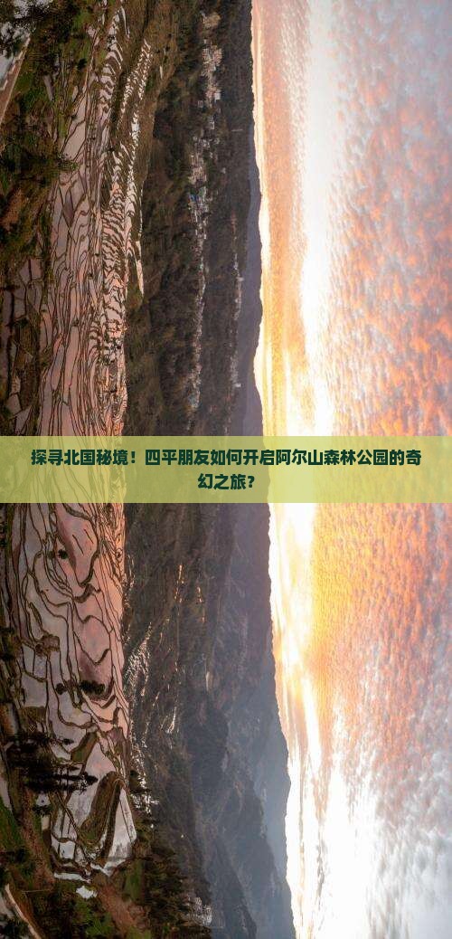 探寻北国秘境！四平朋友如何开启阿尔山森林公园的奇幻之旅？