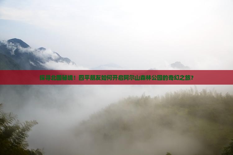 探寻北国秘境！四平朋友如何开启阿尔山森林公园的奇幻之旅？