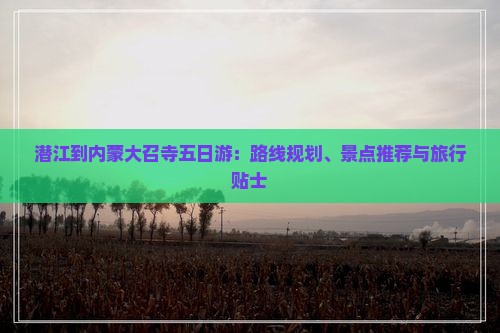 潜江到内蒙大召寺五日游：路线规划、景点推荐与旅行贴士