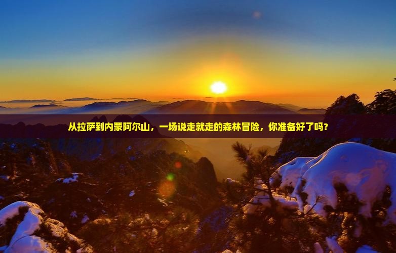 从拉萨到内蒙阿尔山，一场说走就走的森林冒险，你准备好了吗？