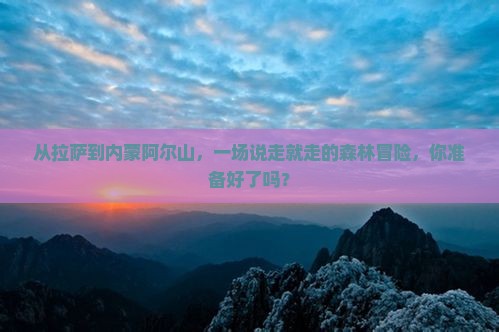 从拉萨到内蒙阿尔山，一场说走就走的森林冒险，你准备好了吗？
