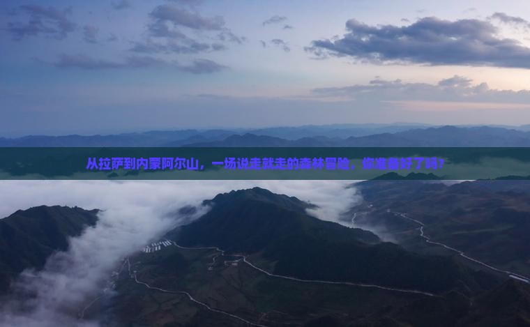 从拉萨到内蒙阿尔山，一场说走就走的森林冒险，你准备好了吗？