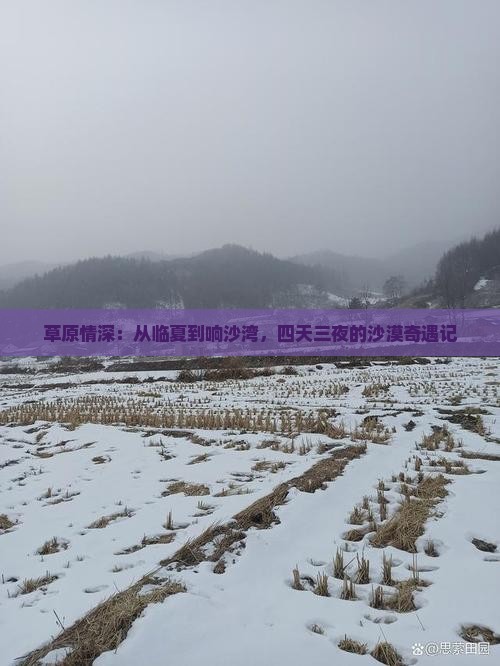 草原情深：从临夏到响沙湾，四天三夜的沙漠奇遇记