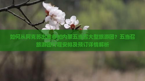 如何从阿克苏出发参加内蒙五当召大型旅游团？五当召旅游团行程安排及预订详情解析