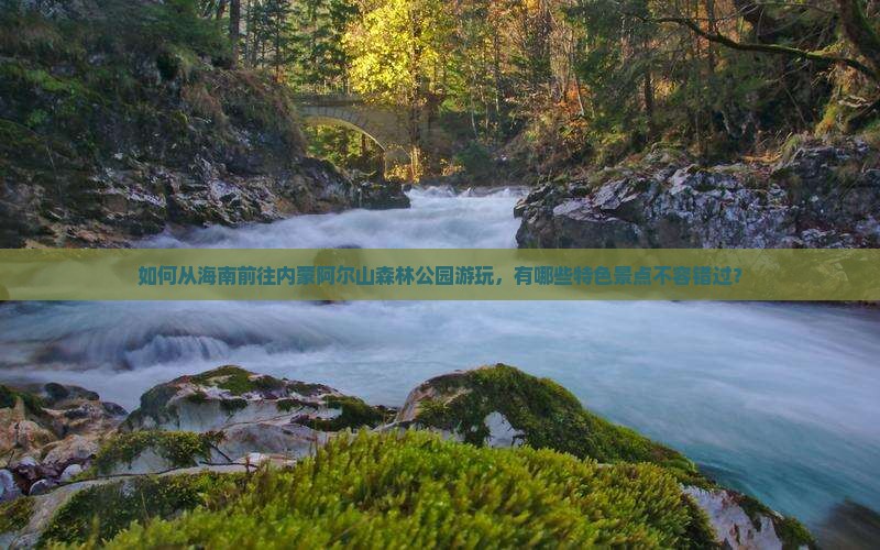 如何从海南前往内蒙阿尔山森林公园游玩，有哪些特色景点不容错过？