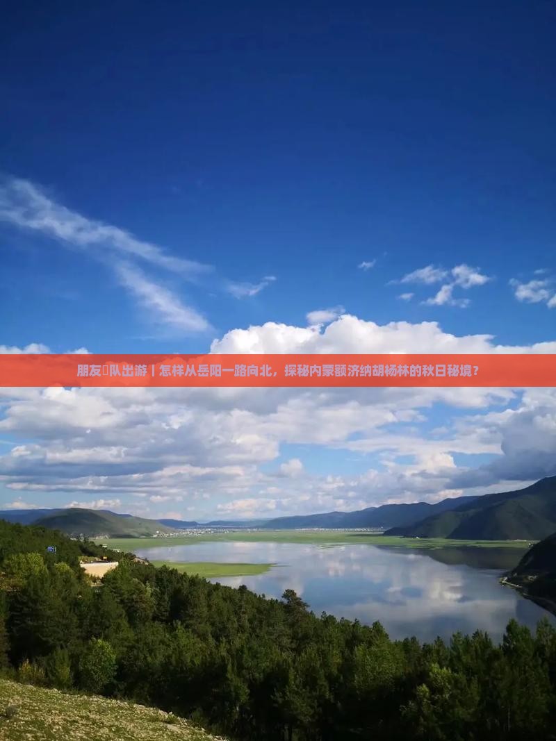 朋友團队出游｜怎样从岳阳一路向北，探秘内蒙额济纳胡杨林的秋日秘境？