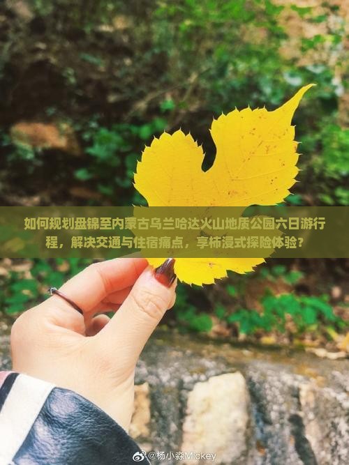 如何规划盘锦至内蒙古乌兰哈达火山地质公园六日游行程，解决交通与住宿痛点，享柿浸式探险体验？