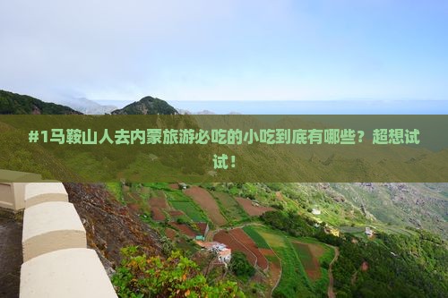 #1马鞍山人去内蒙旅游必吃的小吃到底有哪些？超想试试！