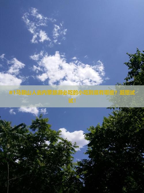#1马鞍山人去内蒙旅游必吃的小吃到底有哪些？超想试试！