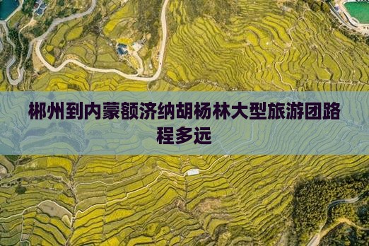 郴州到内蒙额济纳胡杨林大型旅游团路程多远