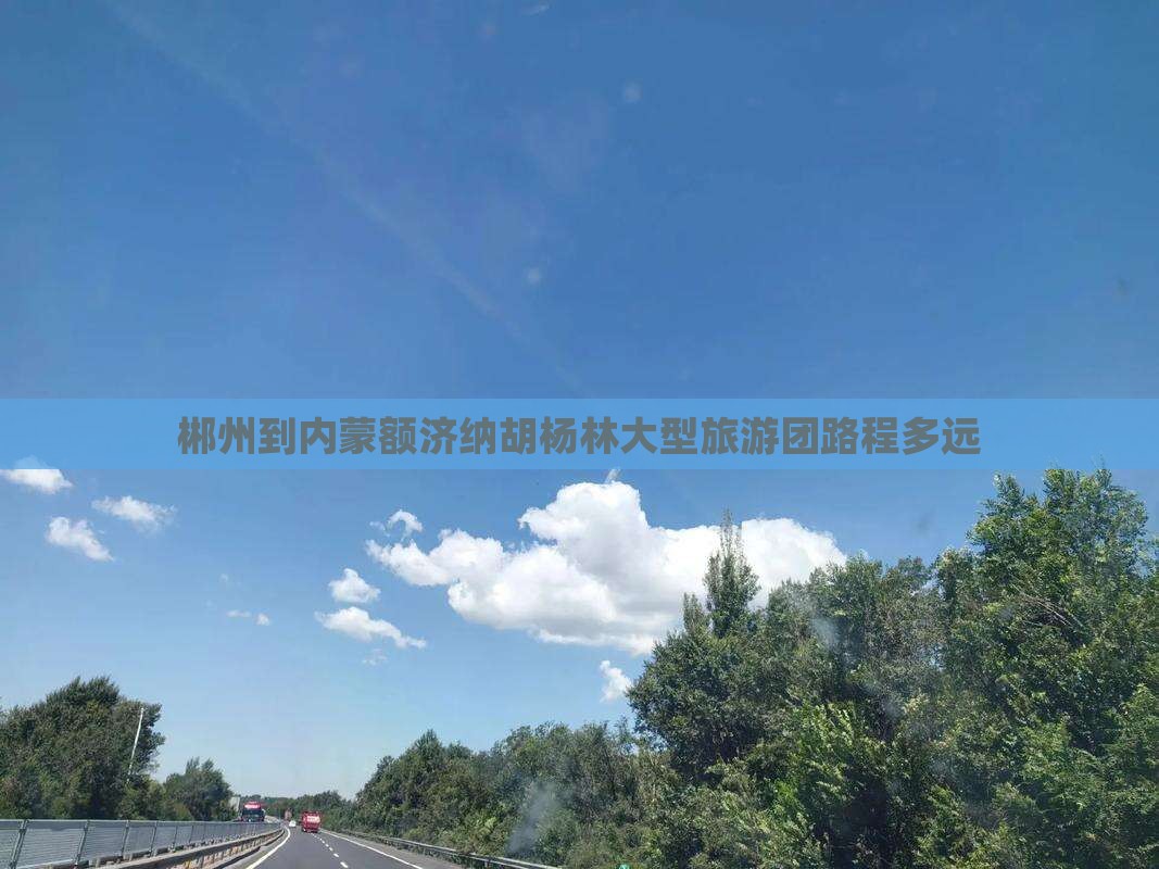 郴州到内蒙额济纳胡杨林大型旅游团路程多远