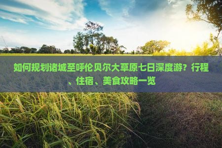 如何规划诸城至呼伦贝尔大草原七日深度游？行程、住宿、美食攻略一览