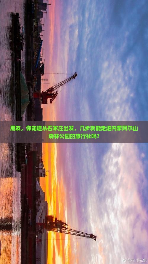 朋友，你知道从石家庄出发，几步就能走进内蒙阿尔山森林公园的旅行社吗？