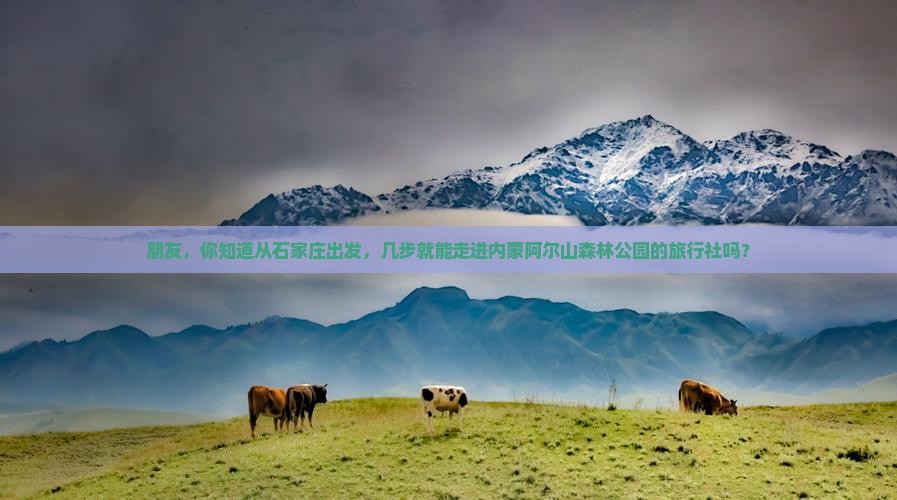 朋友，你知道从石家庄出发，几步就能走进内蒙阿尔山森林公园的旅行社吗？