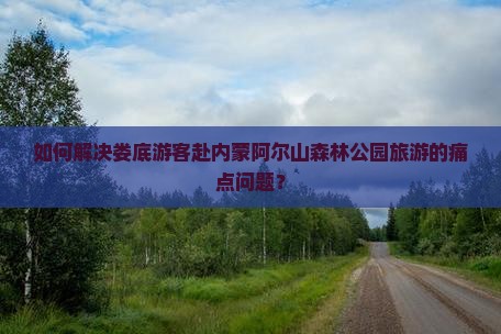 如何解决娄底游客赴内蒙阿尔山森林公园旅游的痛点问题？