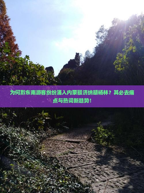 为何黔东南游客纷纷涌入内蒙额济纳胡杨林？其必去痛点与热词新趋势！