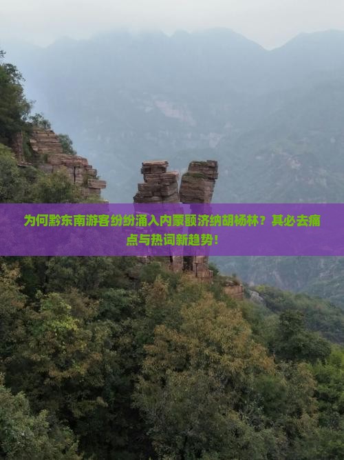 为何黔东南游客纷纷涌入内蒙额济纳胡杨林？其必去痛点与热词新趋势！